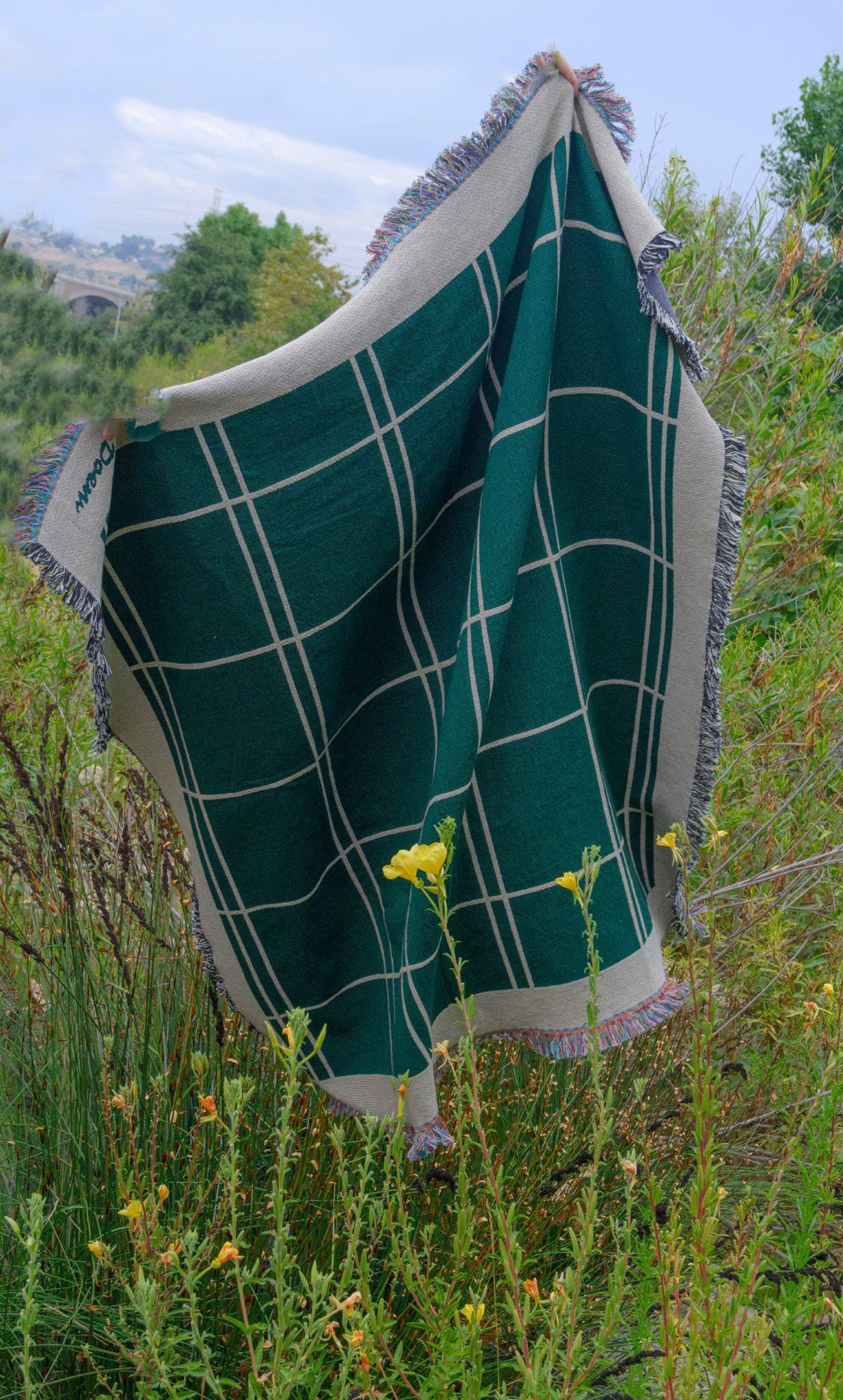 window-green