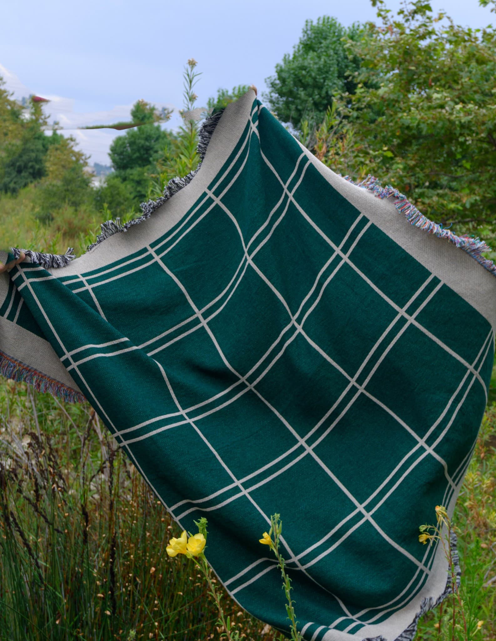 window-green